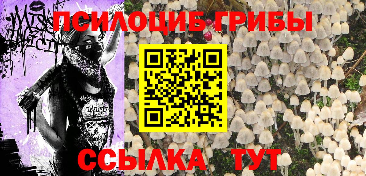 Псилоцибиновые грибы прущие грибы  Вход с VPN  Юрга  Псилоцибиновые грибы MAGIC MUSHROOMS 